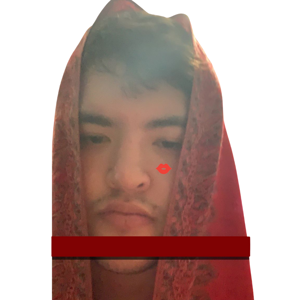 RED VEIL PORTRAIT